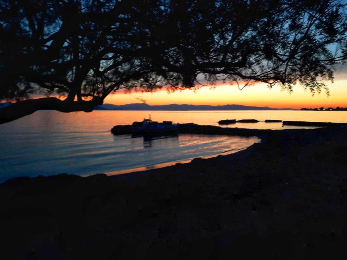Elegant New Maisonette Near The Sea Aegina エクステリア 写真