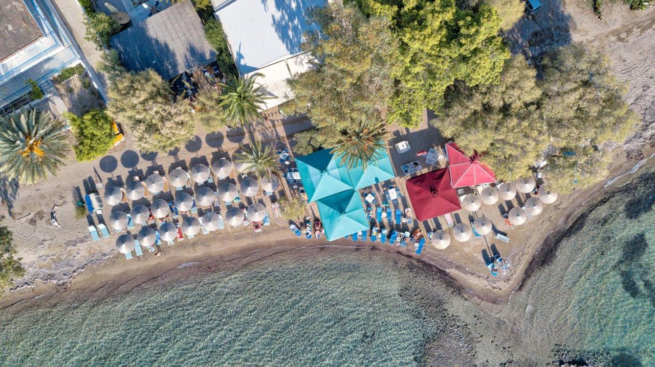 Elegant New Maisonette Near The Sea Aegina エクステリア 写真